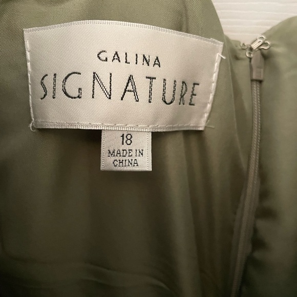 David’s Bridal Eucalyptus Galina Signature Dress size 18 - Picture 4 of 8